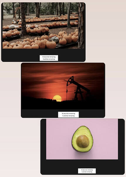 Examples of stimuli pictures